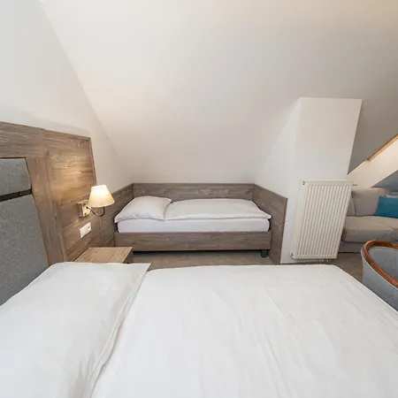 Penzion Wellness Jezersko